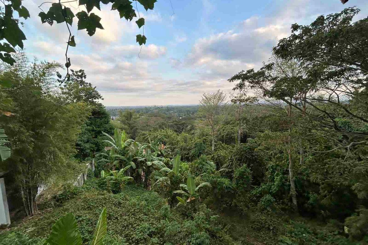 Land for Sale in Irawan, Puerto Princesa, Palawan – photo 2