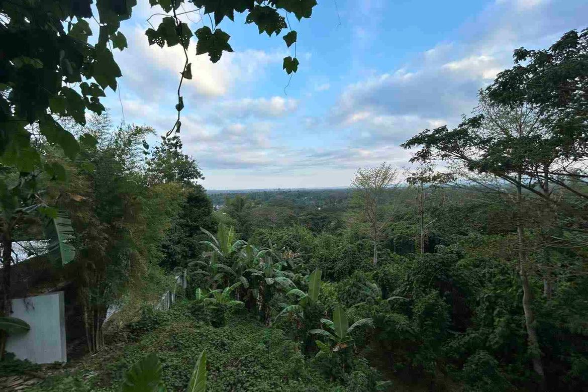 Land for Sale in Irawan, Puerto Princesa, Palawan – photo 3