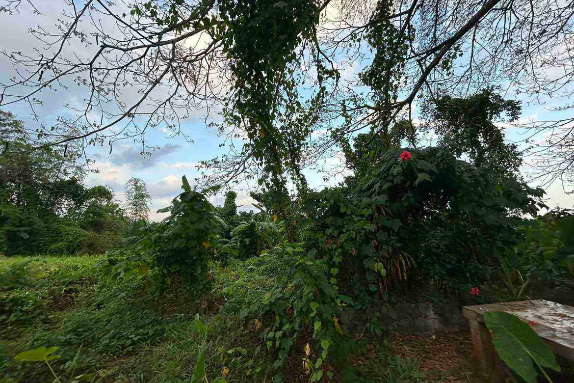 Land for Sale in Irawan, Puerto Princesa, Palawan – photo 4
