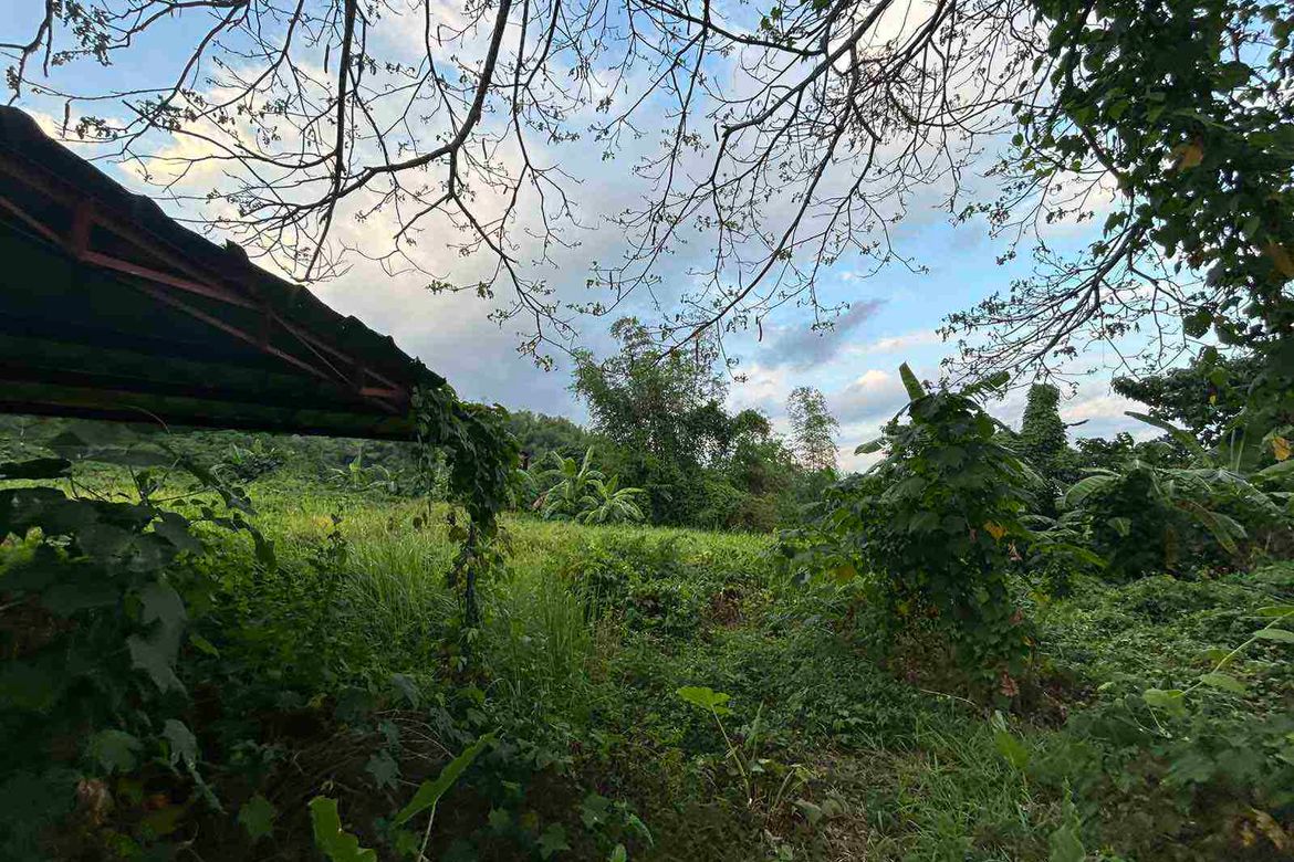 Land for Sale in Irawan, Puerto Princesa, Palawan – photo 5