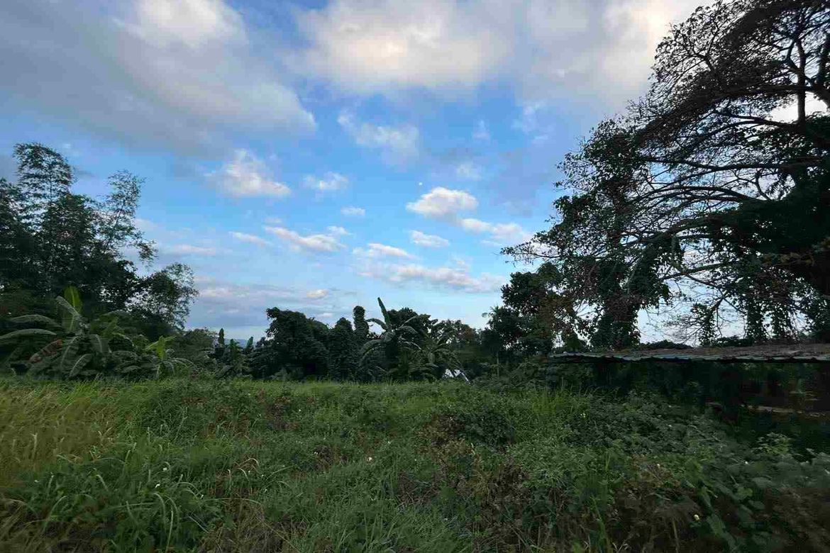 Land for Sale in Irawan, Puerto Princesa, Palawan – photo 6