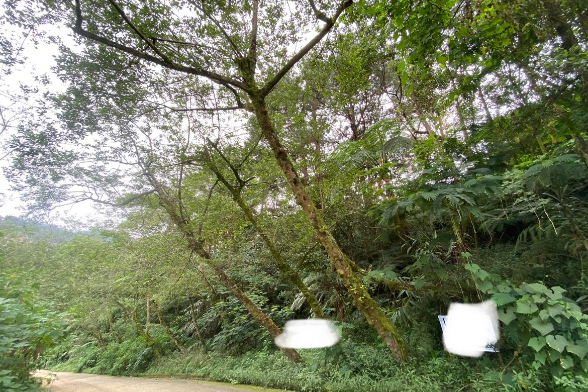 Land for Sale in Irisan, Baguio, Benguet – photo 2