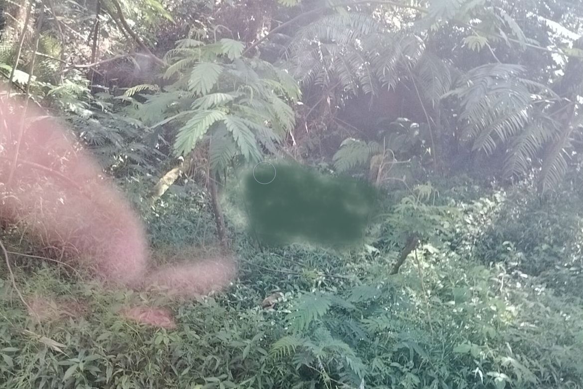 Land for Sale in Irisan, Baguio, Benguet – photo 4