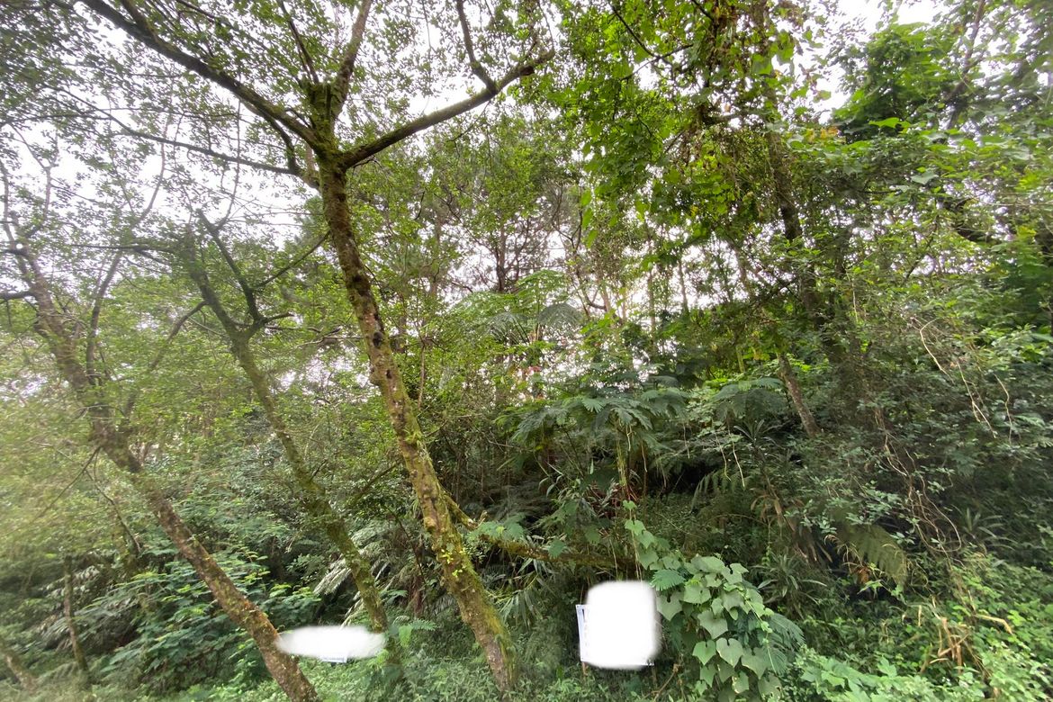 Land for Sale in Irisan, Baguio, Benguet – photo 5