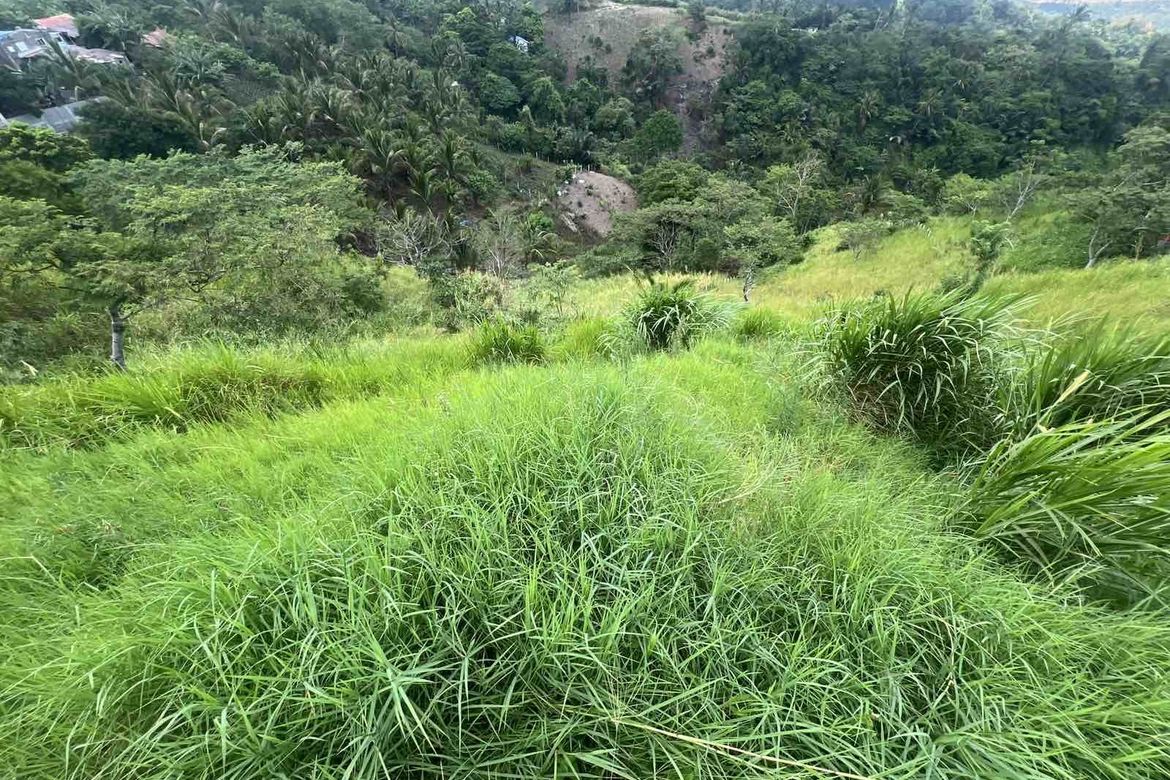 Land for Sale in Iruhin East, Tagaytay, Cavite – photo 3