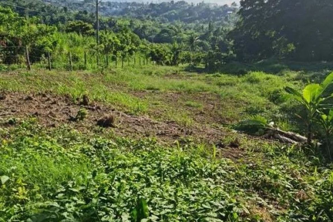 Land for Sale in Iruhin East, Tagaytay, Cavite – photo 2
