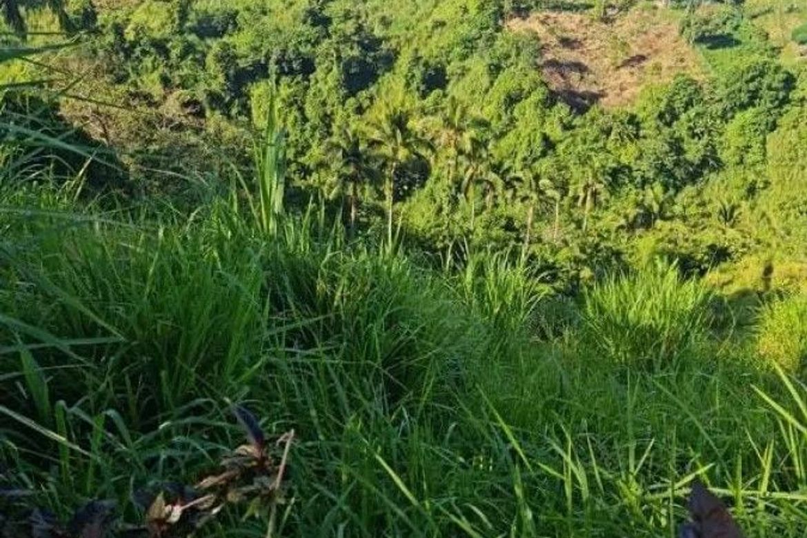 Land for Sale in Iruhin East, Tagaytay, Cavite – photo 3