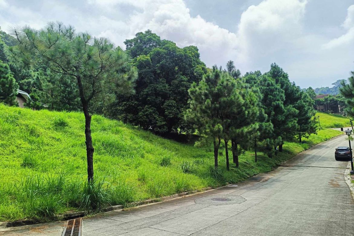 Land for Sale in Iruhin South, Tagaytay, Cavite – photo 2