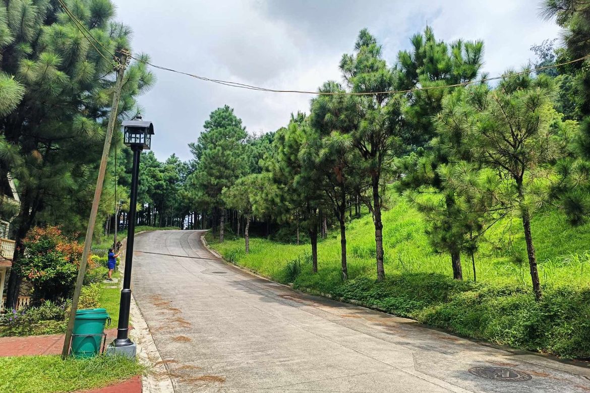 Land for Sale in Iruhin South, Tagaytay, Cavite – photo 4