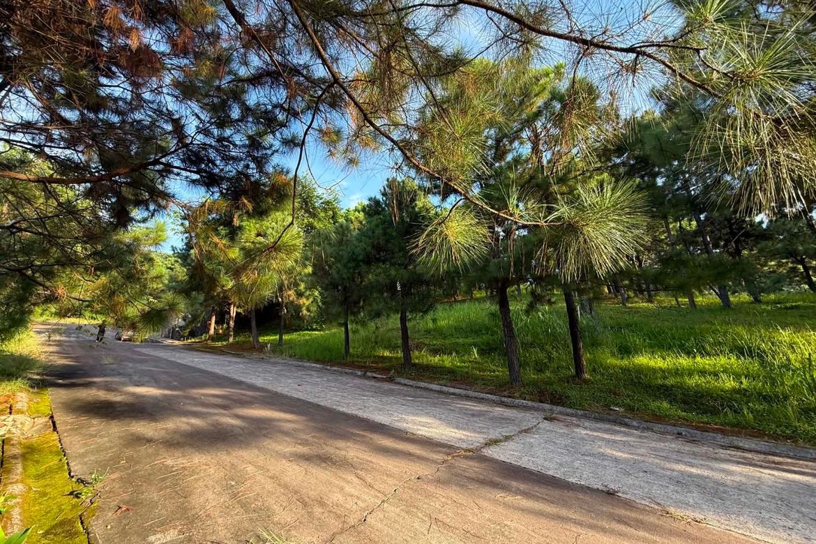 Land for Sale in Iruhin South, Tagaytay, Cavite