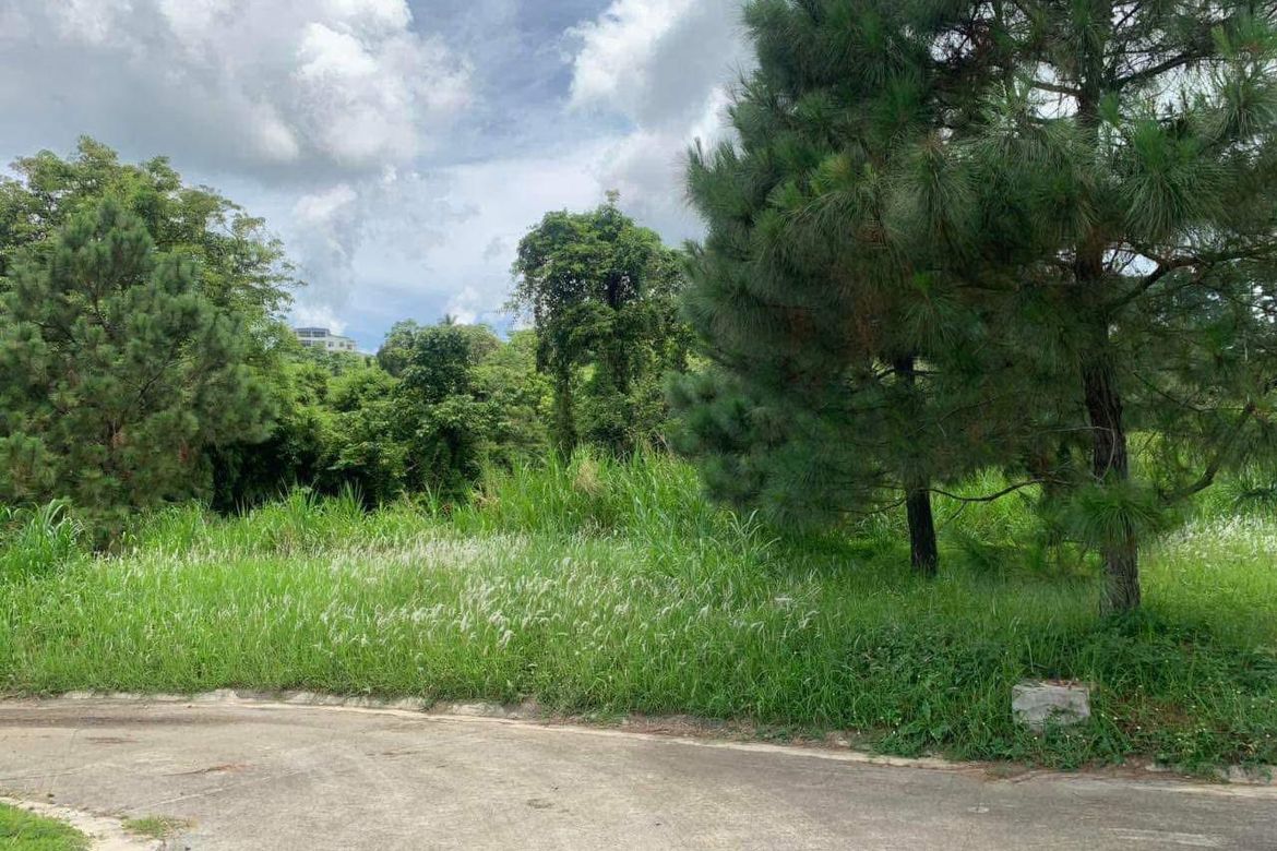 Land for Sale in Iruhin South, Tagaytay, Cavite – photo 2