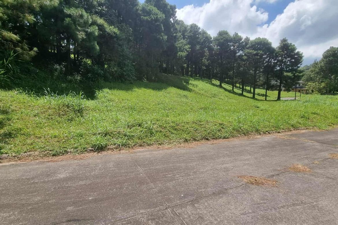 Land for Sale in Iruhin South, Tagaytay, Cavite – photo 2
