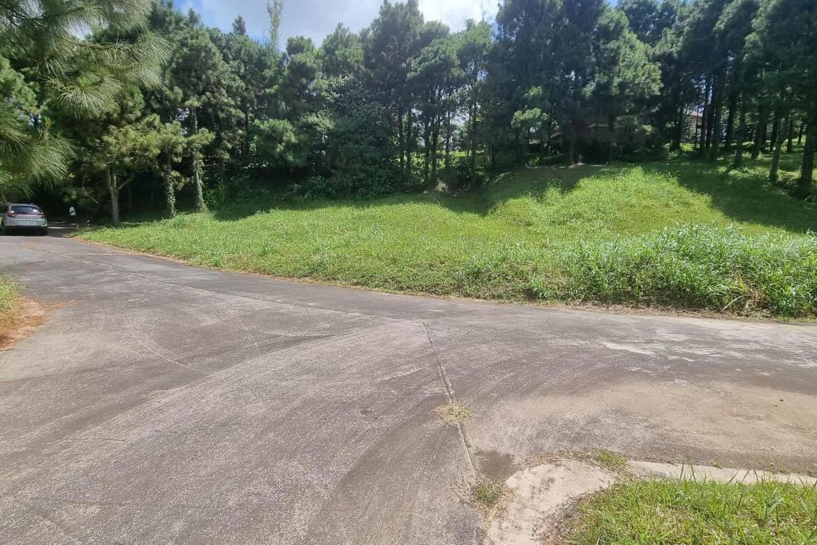 Land for Sale in Iruhin South, Tagaytay, Cavite – photo 3