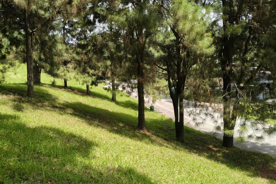 Land for Sale in Iruhin South, Tagaytay, Cavite – photo 6