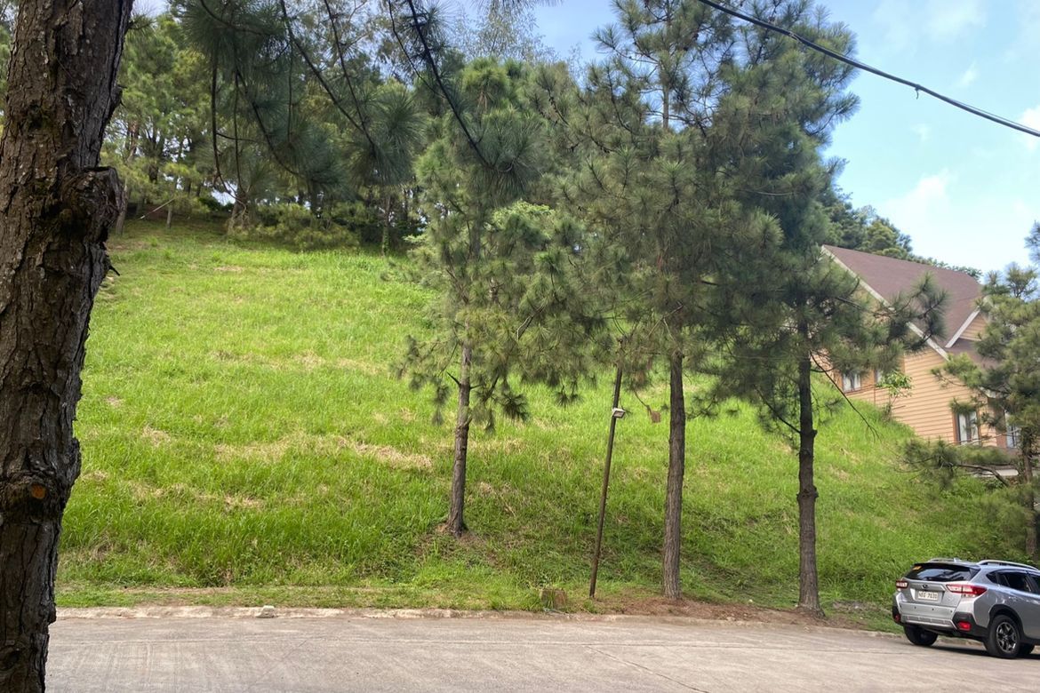 Land for Sale in Iruhin South, Tagaytay, Cavite – photo 2