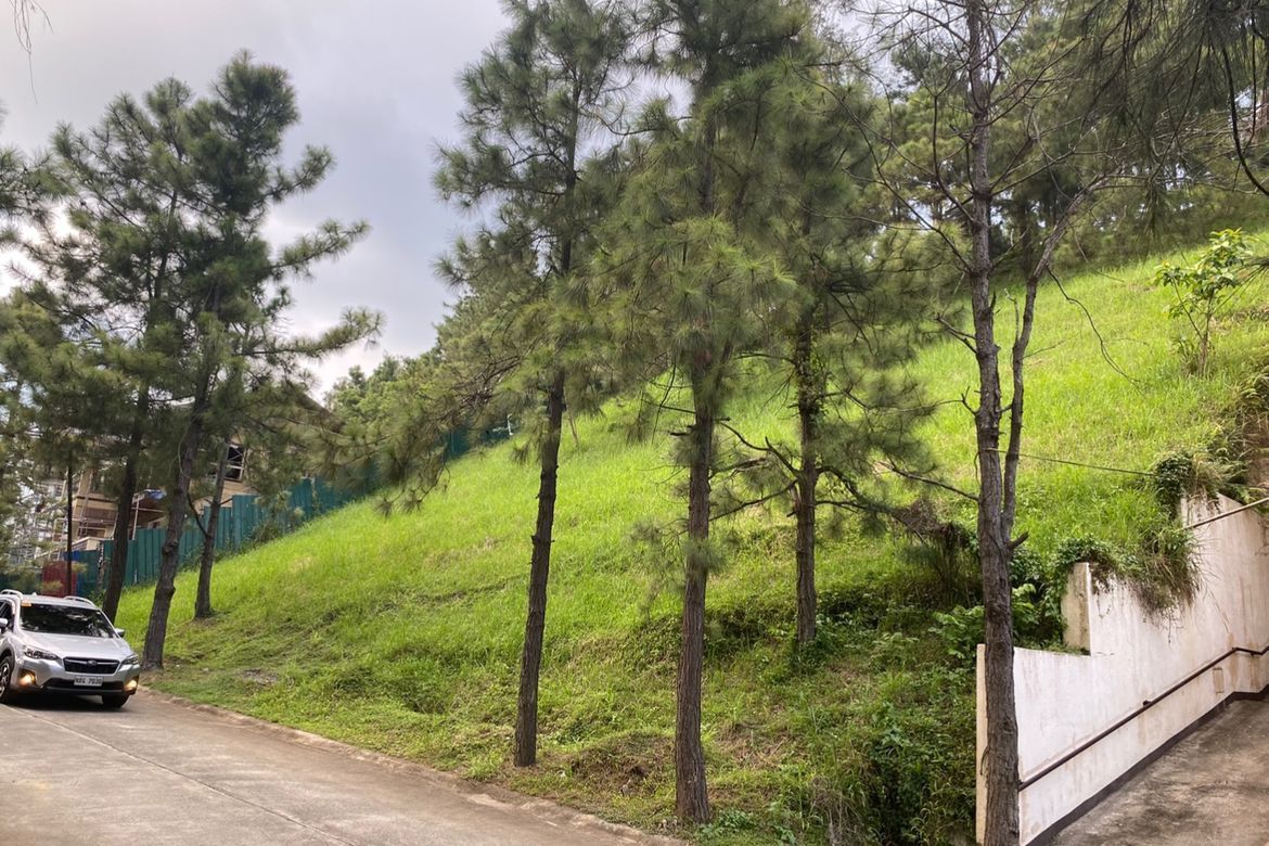 Land for Sale in Iruhin South, Tagaytay, Cavite – photo 5