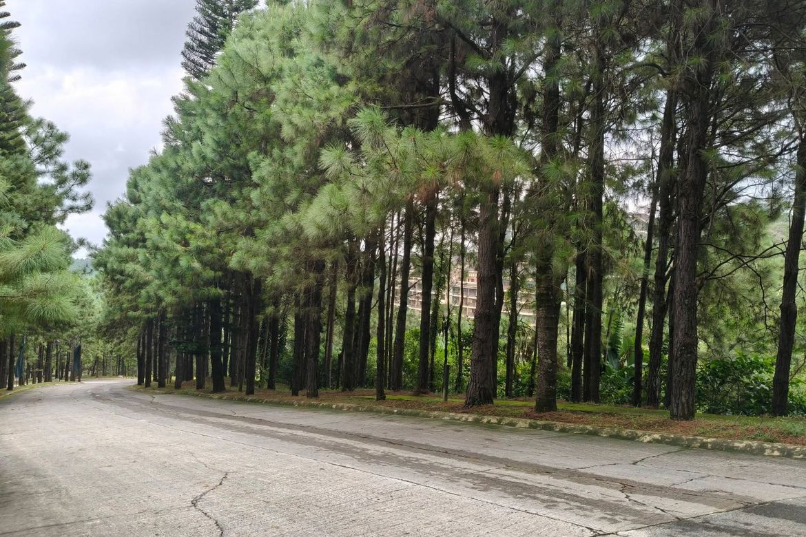 Land for Sale in Iruhin South, Tagaytay, Cavite – photo 4