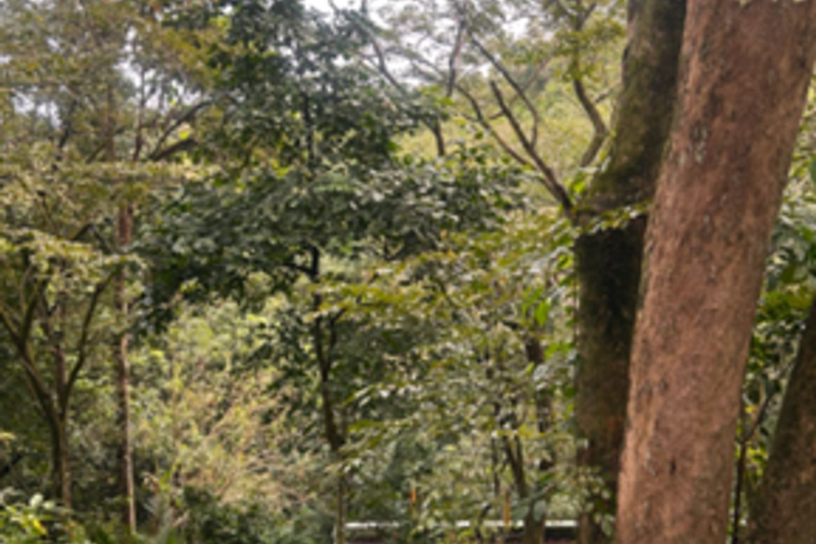 Land for Sale in Iruhin West, Tagaytay, Cavite – photo 2