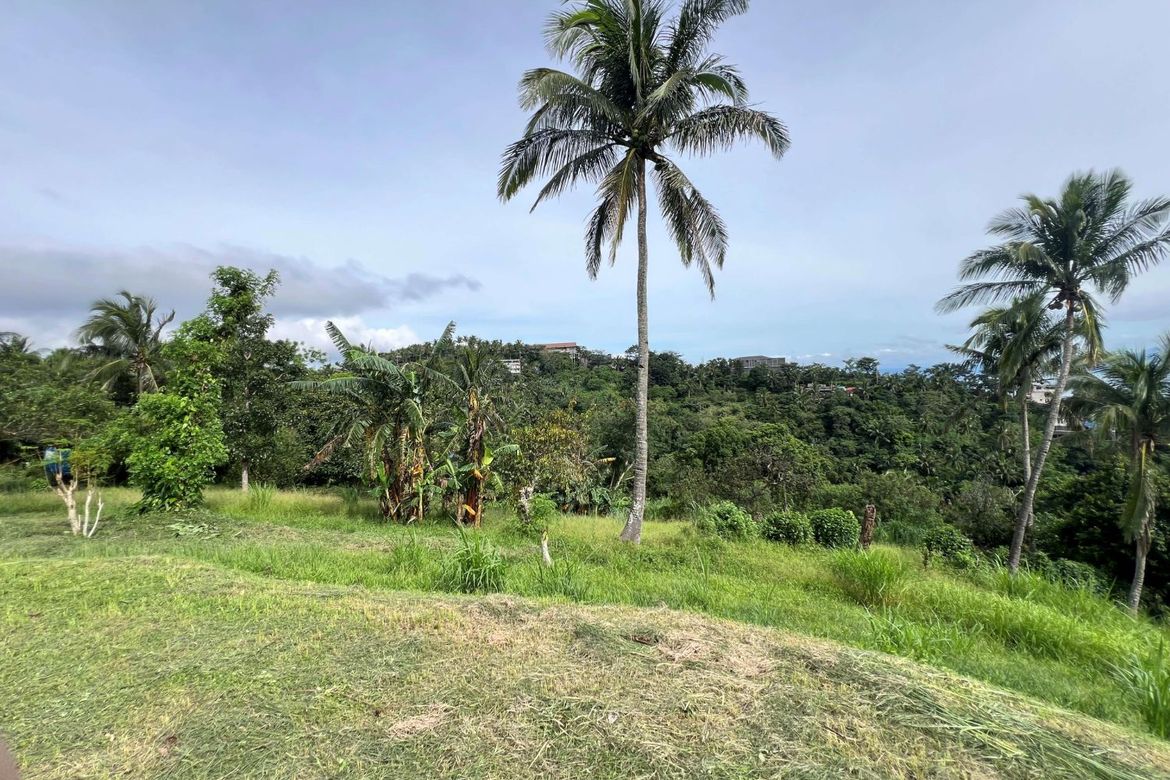 Land for Sale in Iruhin West, Tagaytay, Cavite – photo 6