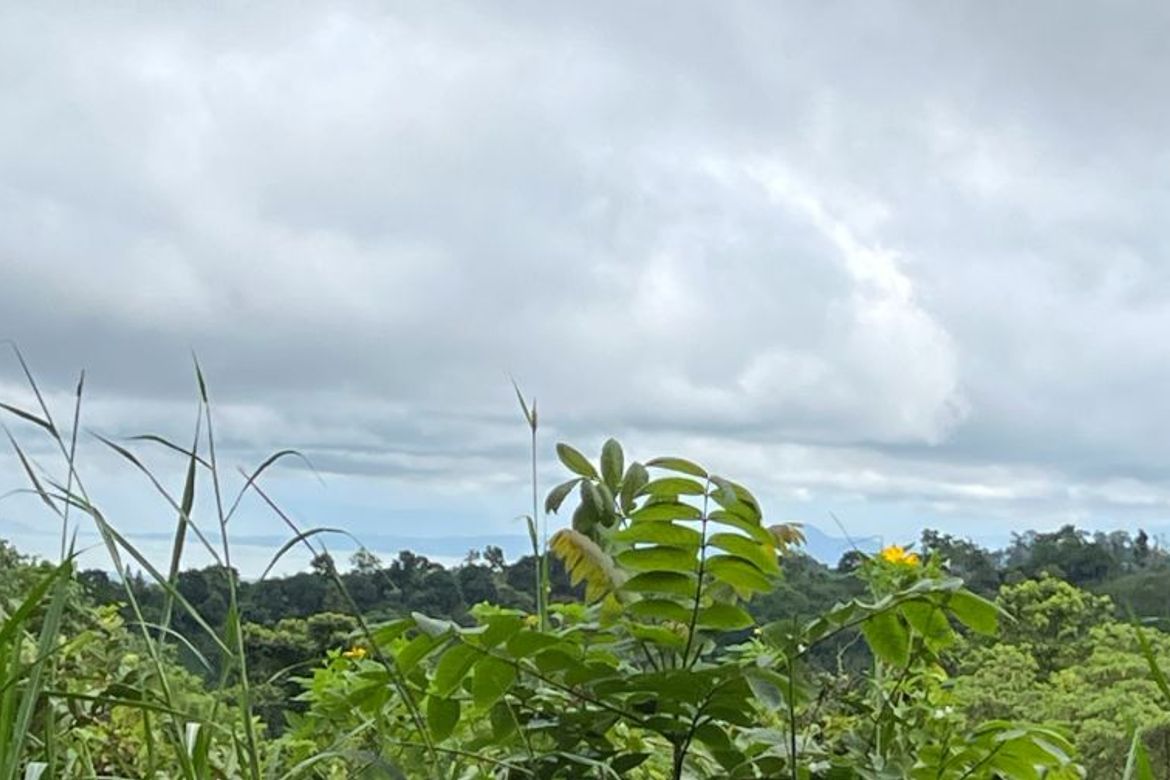 Land for Sale in Iruhin West, Tagaytay, Cavite – photo 2