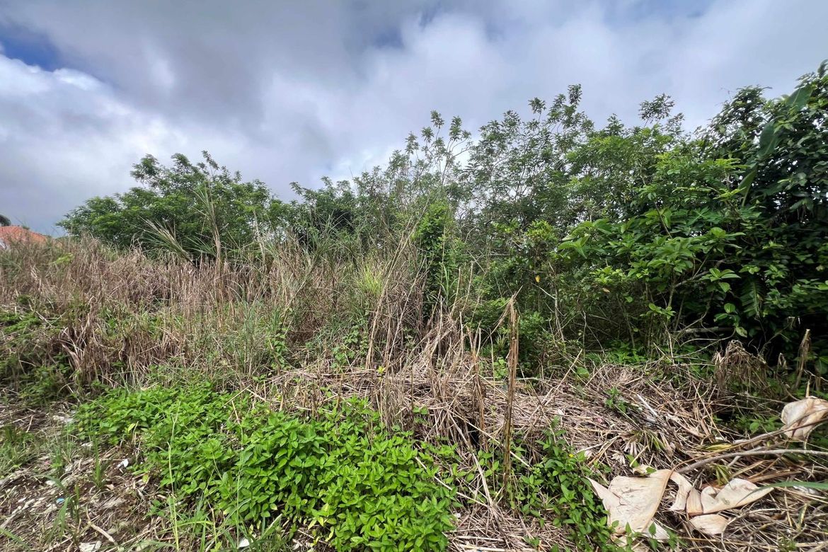 Land for Sale in Iruhin West, Tagaytay, Cavite – photo 4