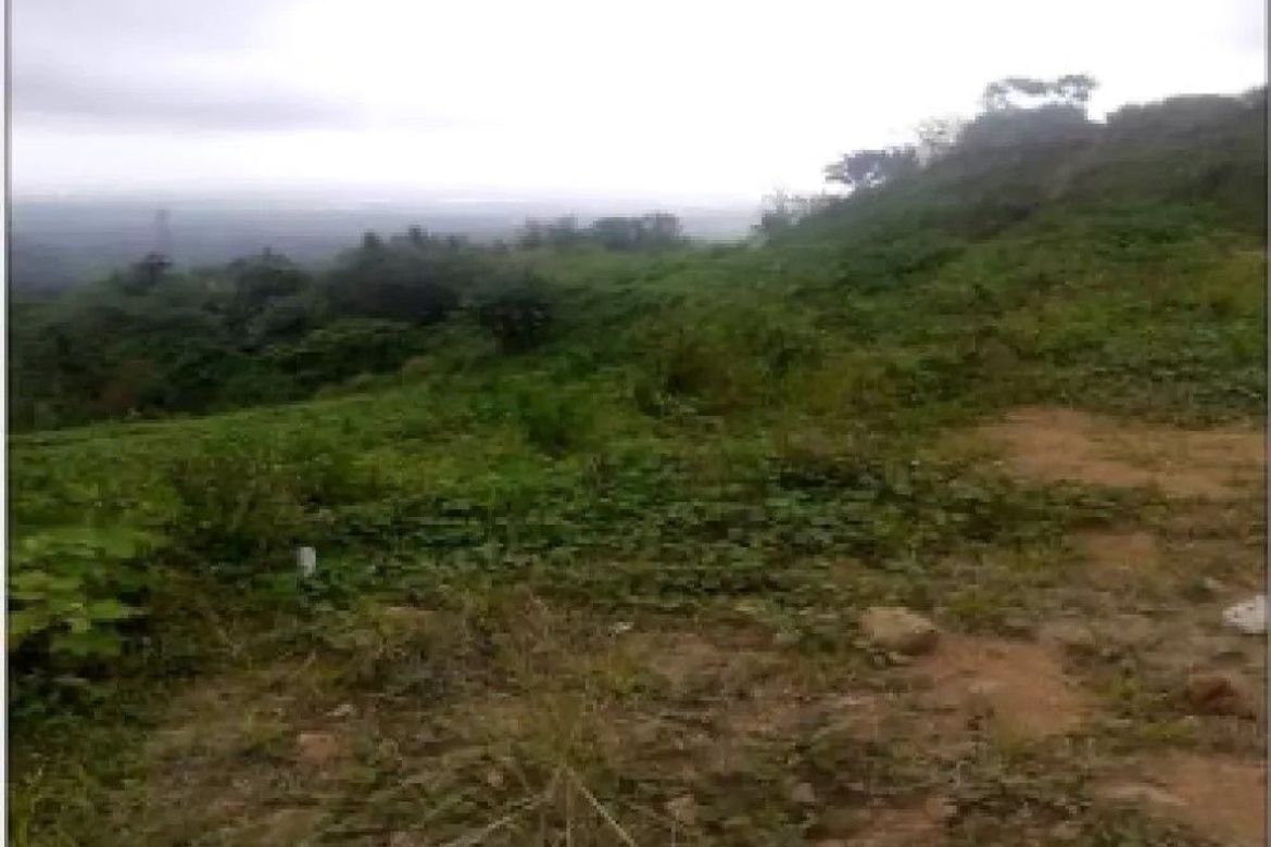 Land for Sale in Iruhin West, Tagaytay, Cavite – photo 4