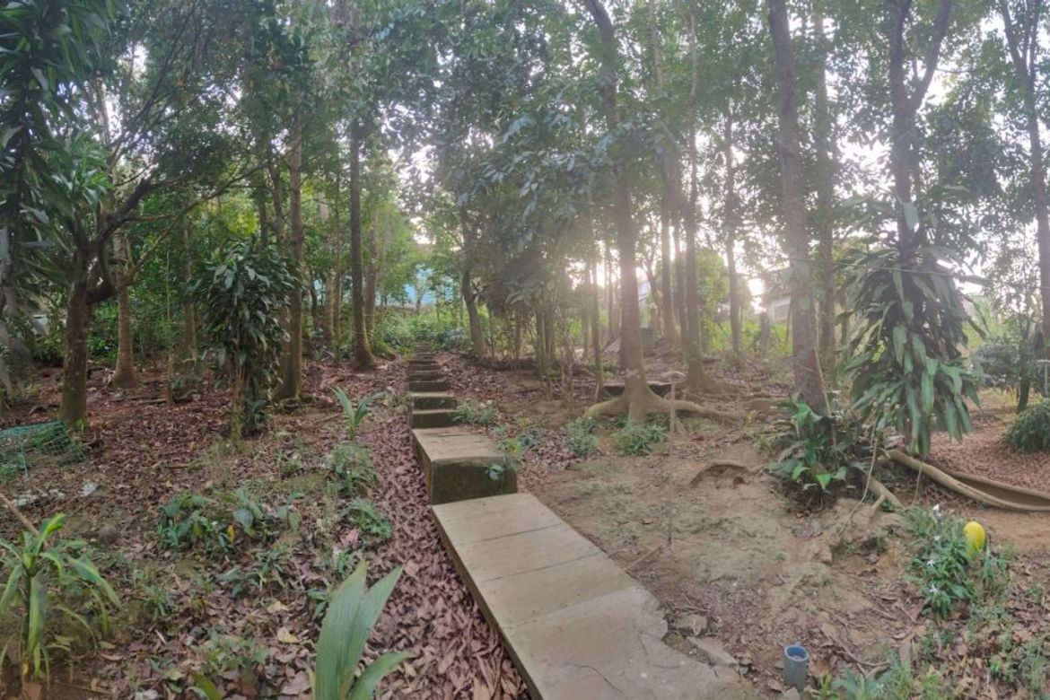 Land for Sale in Iruhin West, Tagaytay, Cavite – photo 3