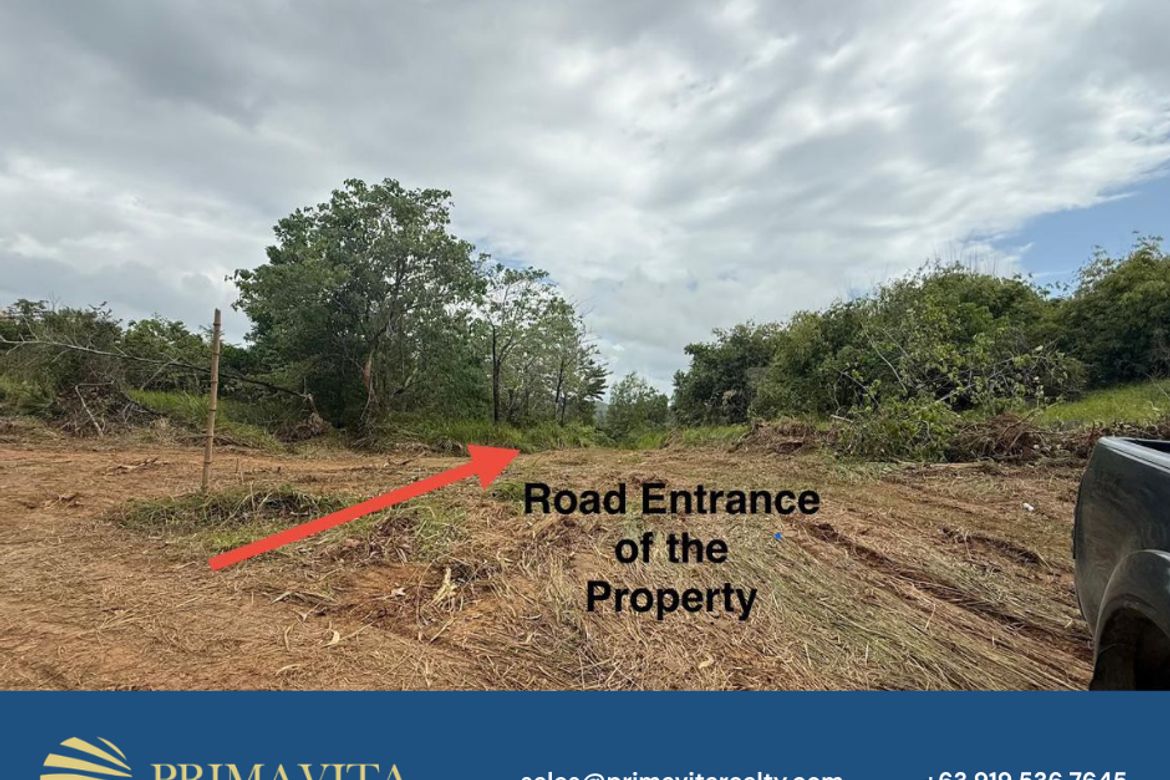 Land for Sale in Isaub, Aborlan, Palawan