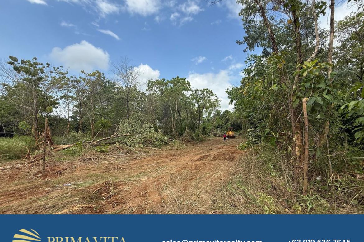 Land for Sale in Isaub, Aborlan, Palawan