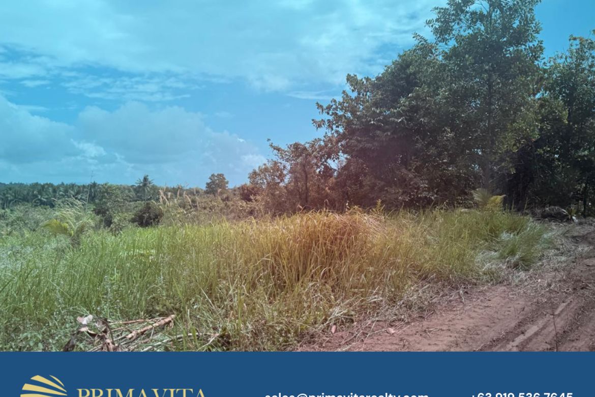 Land for Sale in Isaub, Aborlan, Palawan