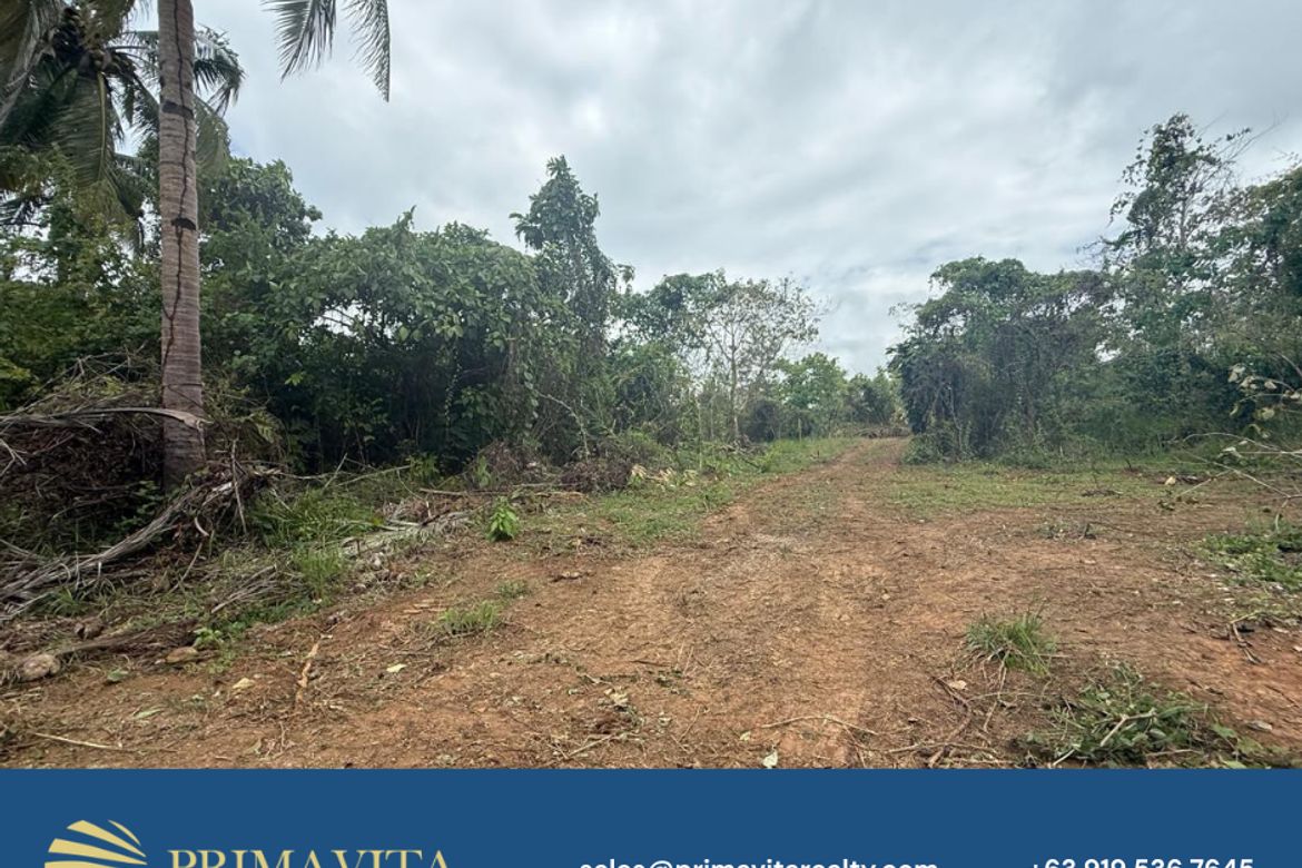Land for Sale in Isaub, Aborlan, Palawan