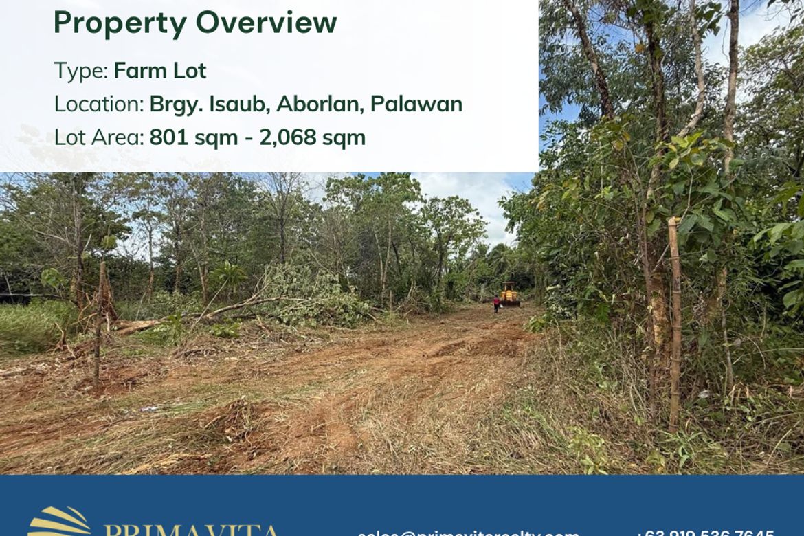 Land for Sale in Isaub, Aborlan, Palawan – photo 6