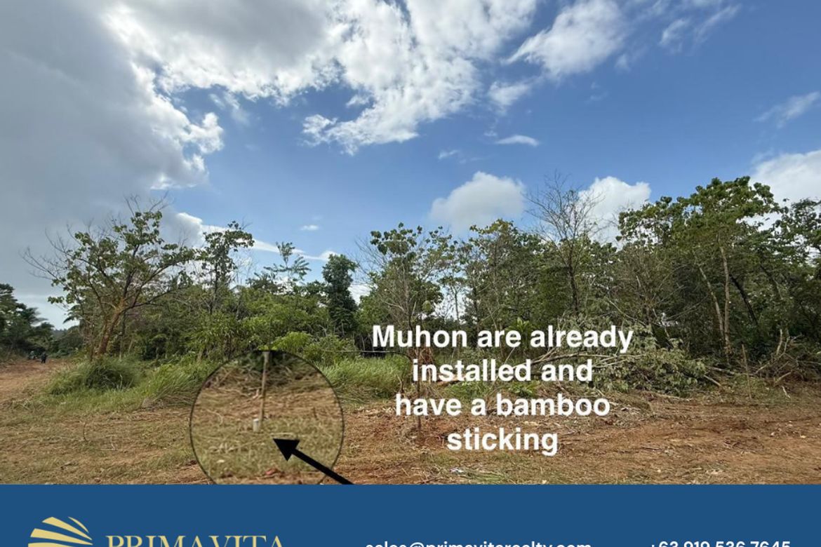 Land for Sale in Isaub, Aborlan, Palawan – photo 2