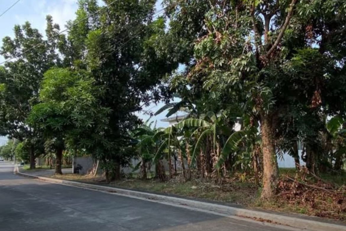Land for Sale in ITC Woodlands, Malanday, Valenzuela, Metro Manila