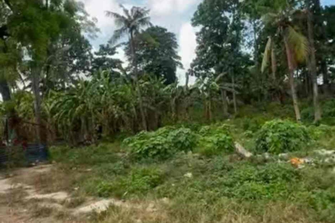 Land for Sale in Jagobiao, Mandaue, Cebu – photo 5