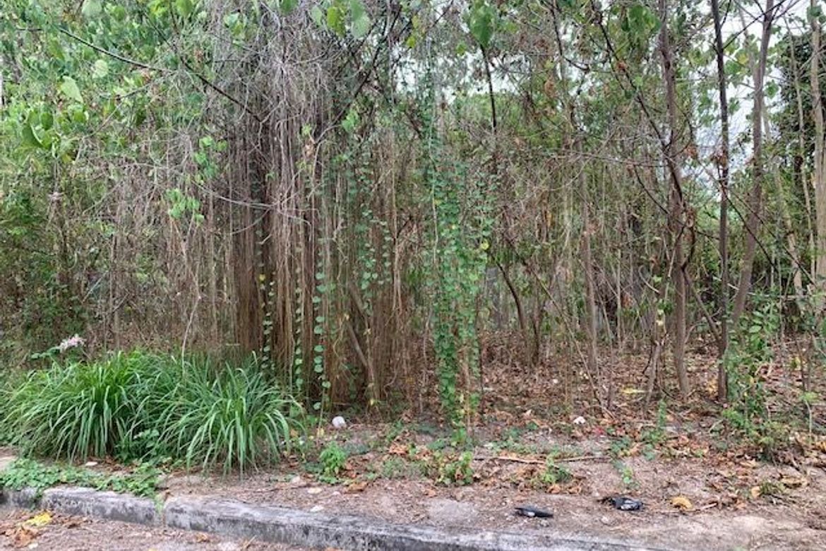 Land for Sale in Jagobiao, Mandaue, Cebu – photo 3
