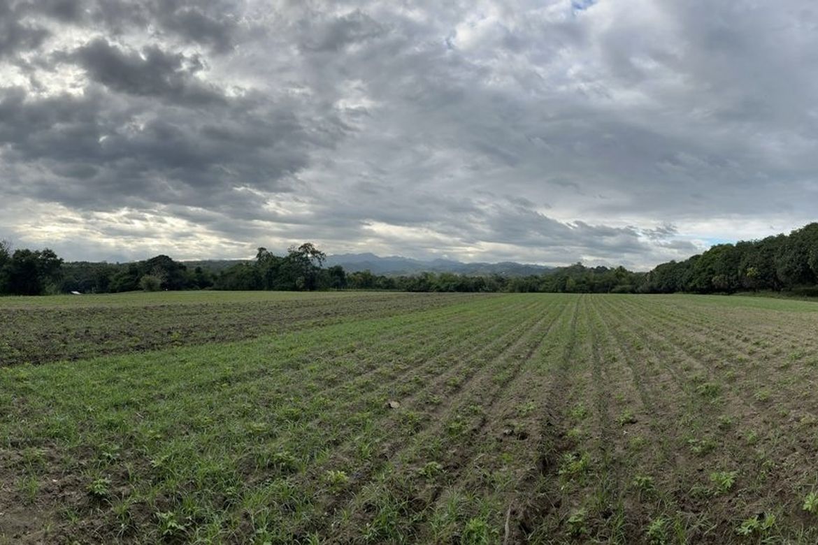 Land for Sale in Jalung, Porac, Pampanga