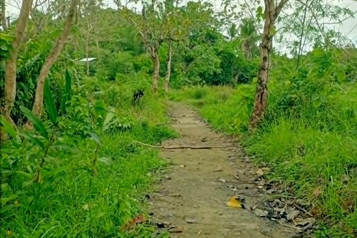 Land for Sale in Jamoyaon, Del Carmen, Surigao del Norte – photo 6