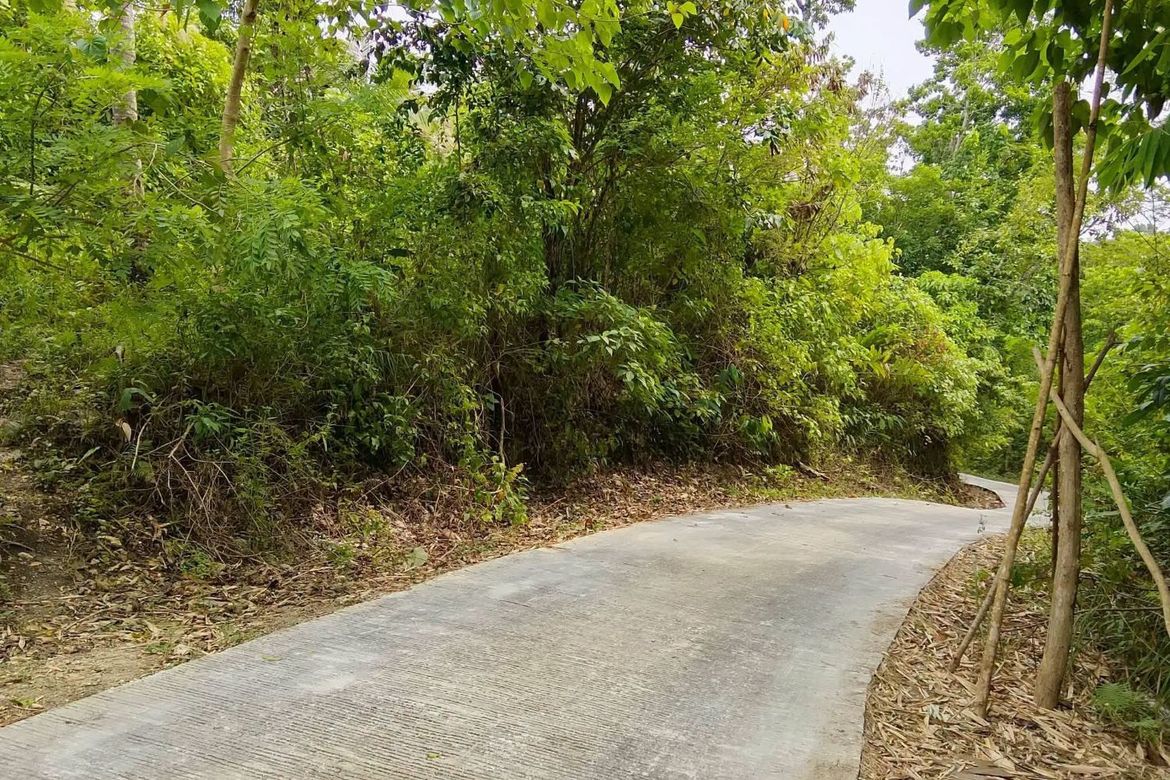 Land for Sale in Janlud, Batuan, Bohol