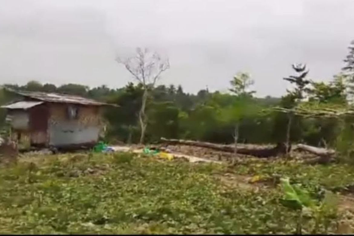 Land for Sale in Janlud, Batuan, Bohol – photo 5