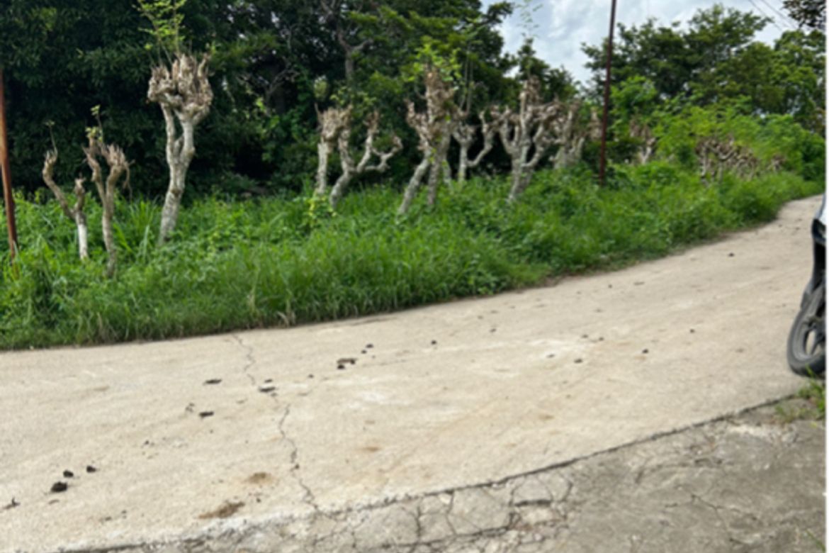 Land for Sale in Janopol Oriental, Tanauan, Batangas – photo 2