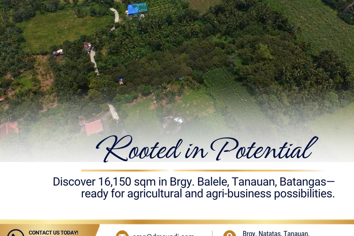 Land for Sale in Janopol Oriental, Tanauan, Batangas