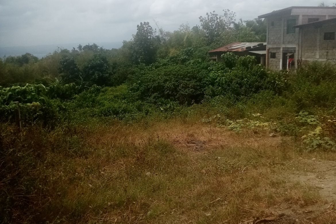 Land for Sale in Janopol Oriental, Tanauan, Batangas – photo 5