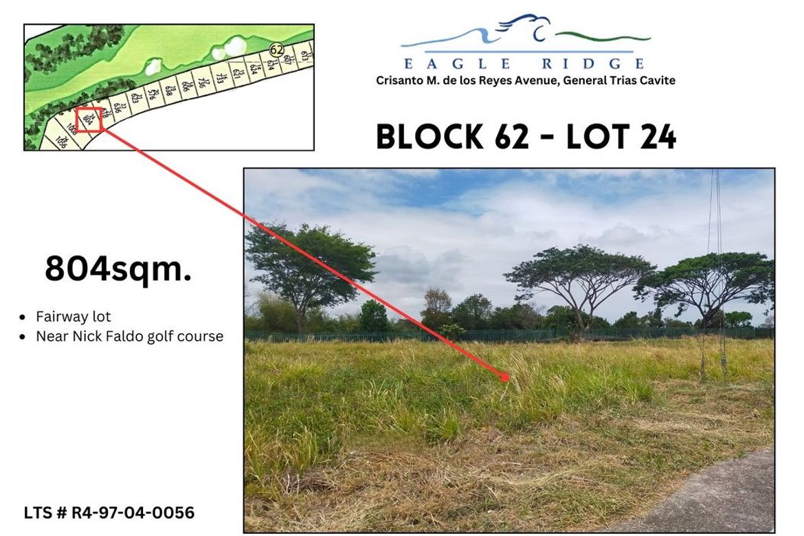 Land for Sale in Javalera, General Trias, Cavite – photo 8