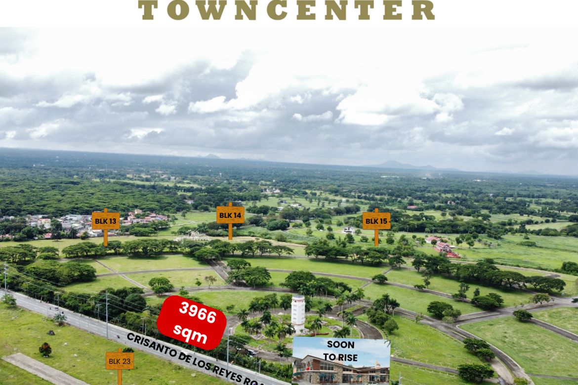 Land for Sale in Javalera, General Trias, Cavite – photo 8