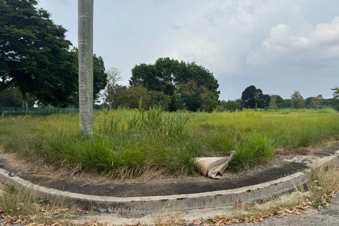 Land for Sale in Javalera, General Trias, Cavite – photo 2