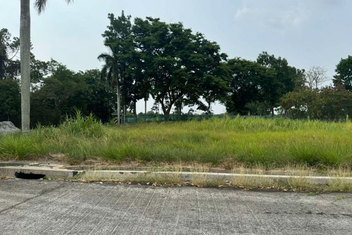 Land for Sale in Javalera, General Trias, Cavite – photo 6
