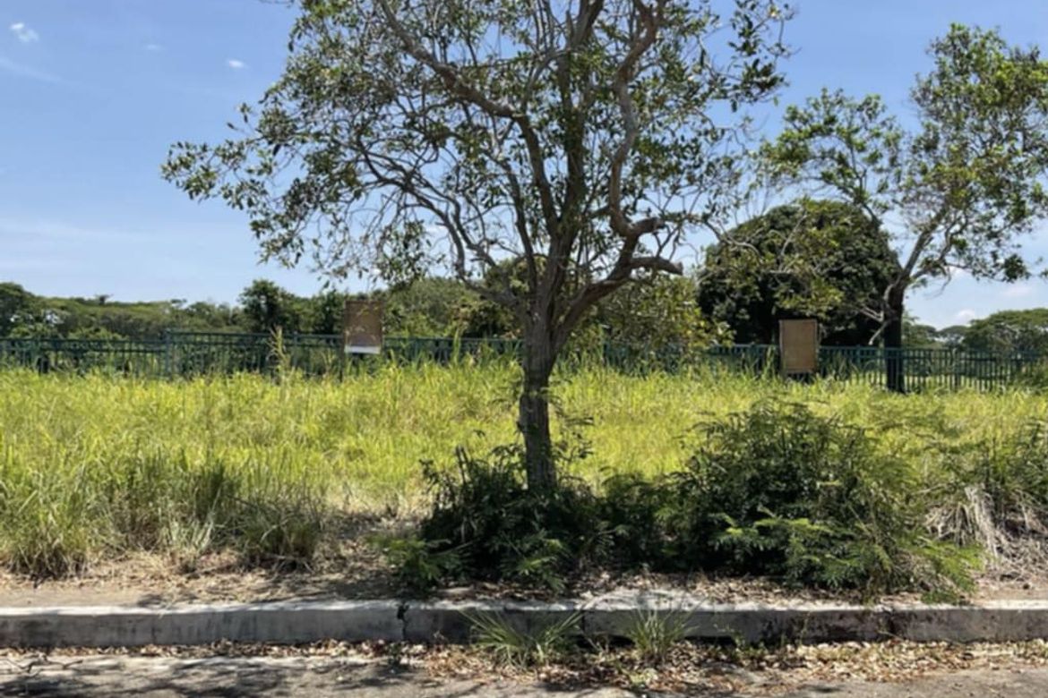 Land for Sale in Javalera, General Trias, Cavite