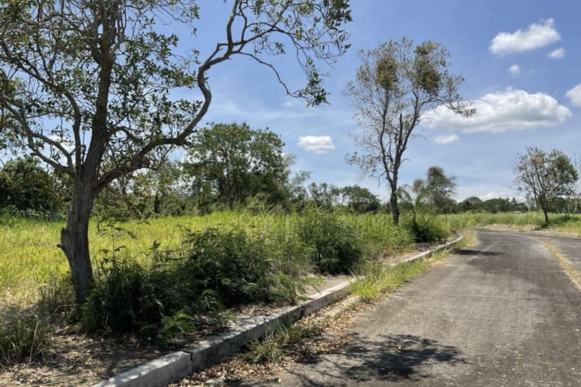 Land for Sale in Javalera, General Trias, Cavite – photo 2