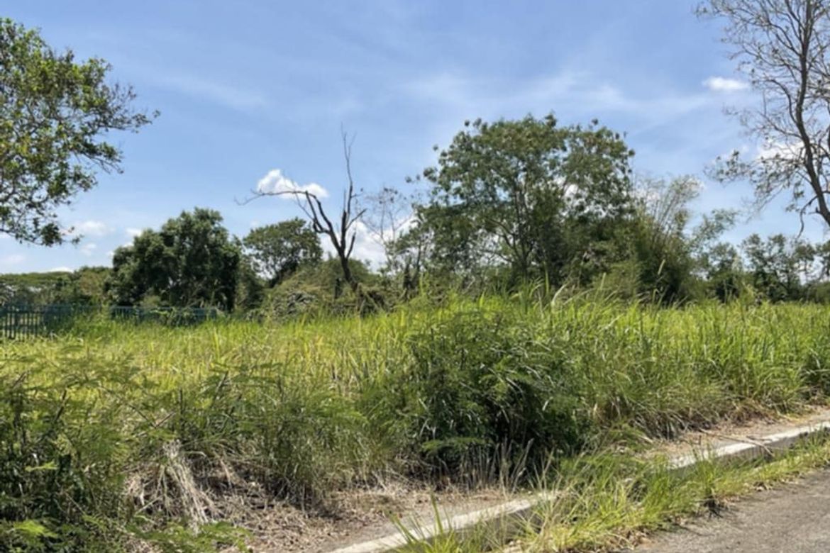 Land for Sale in Javalera, General Trias, Cavite – photo 3